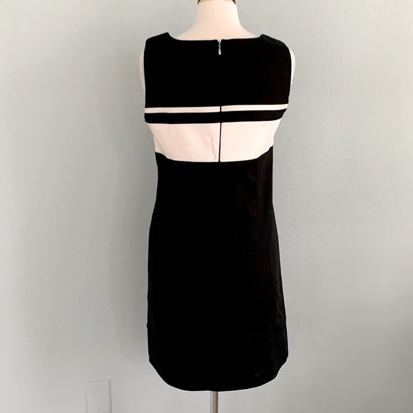 WHBM Perfect Form Dress - Picture 9 of 14